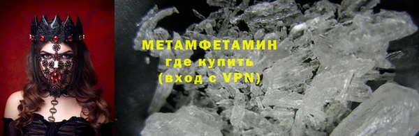 индика Новозыбков