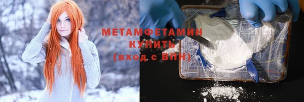 индика Новозыбков