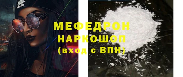 индика Новозыбков
