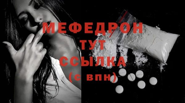 индика Новозыбков