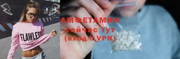 индика Слюдянка