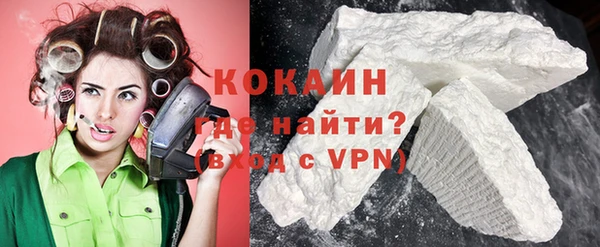 индика Новозыбков