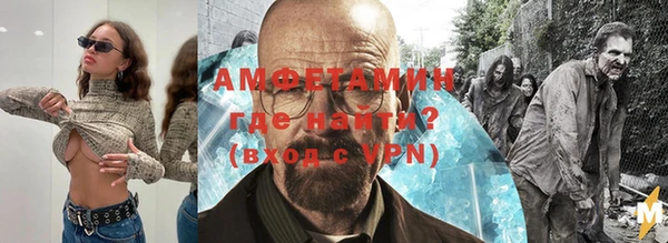 индика Новозыбков
