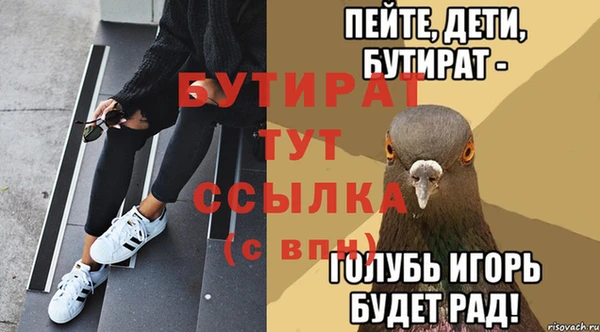 индика Новозыбков