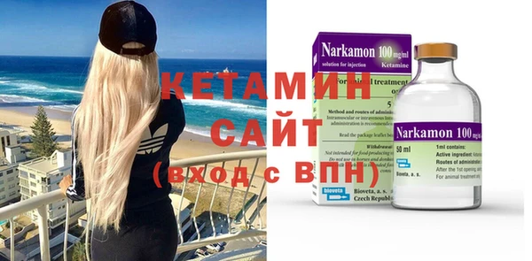 индика Новозыбков