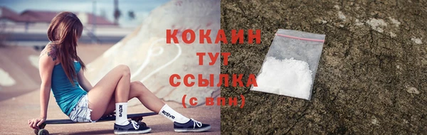 метадон Новодвинск