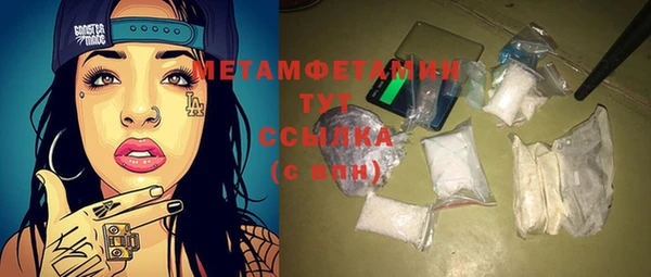 индика Новозыбков