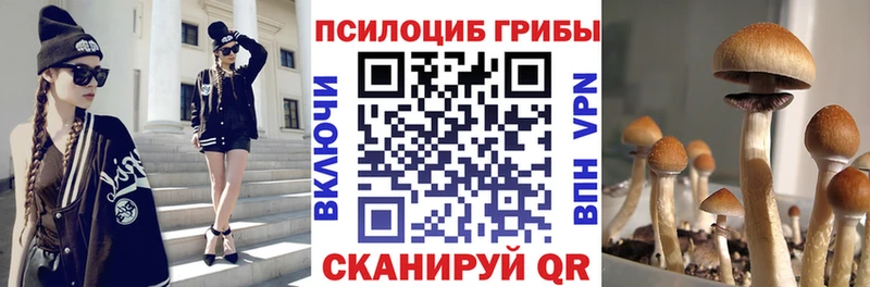 Галлюциногенные грибы мицелий  купить  сайты  Оленегорск 