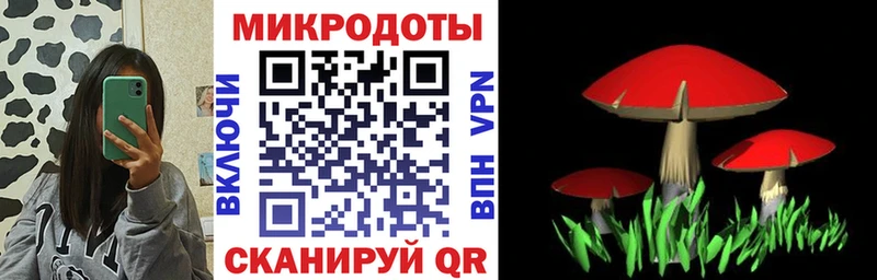 Галлюциногенные грибы прущие грибы Оленегорск